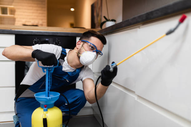 Best Rat Extermination Near Me  in La Marque, TX