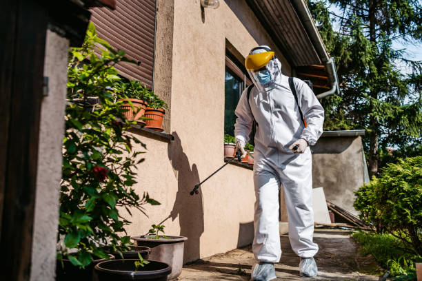 Best Flea Control Services  in La Marque, TX
