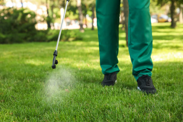  La Marque, TX Pest Control Pros