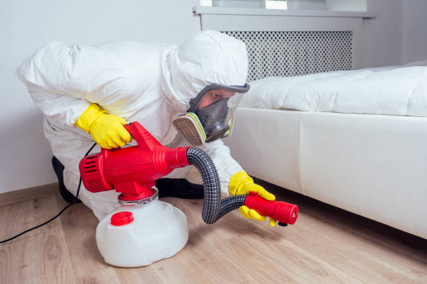 Best Insect Control  in La Marque, TX