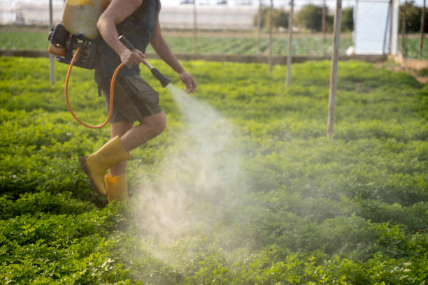 Best Mosquito Control Services  in La Marque, TX