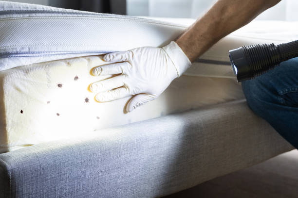 Best Commercial Pest Control Services  in La Marque, TX