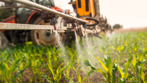Best Pest Inspection Near Me  in La Marque, TX